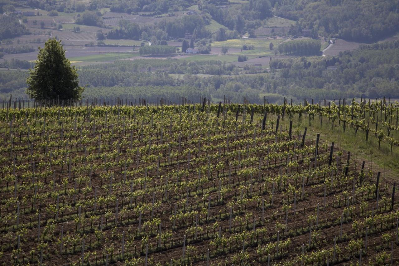 Cascina Marcantonio Acqui Terme Kültér fotó