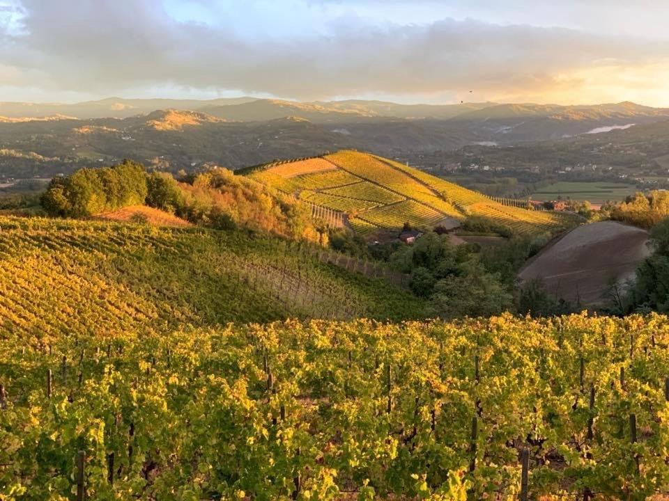 Cascina Marcantonio Acqui Terme Kültér fotó
