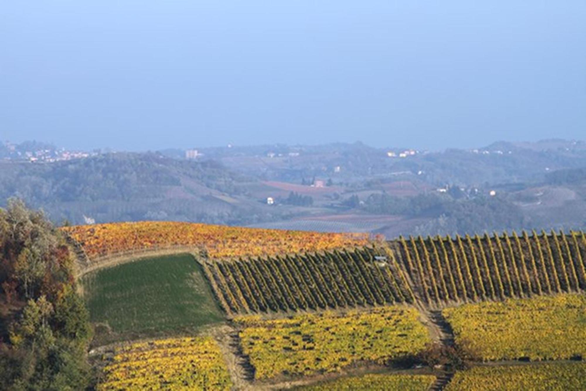 Cascina Marcantonio Acqui Terme Kültér fotó